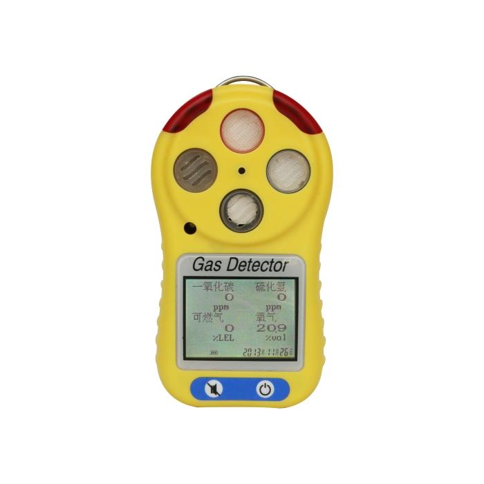portable gas detector.jpg