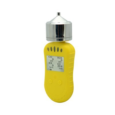 4 Gasmonitor mit Pumpe