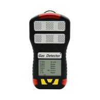 6 Gasdetektor